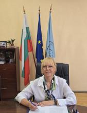 Изпълнителен директор