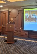 Изпълнителен директор